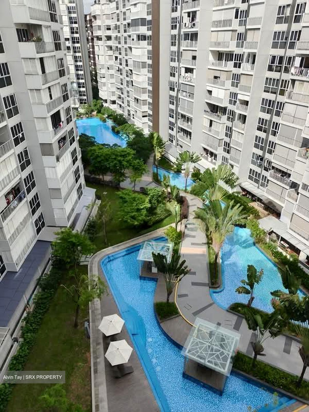 Forestville (D25), Condominium #559668171